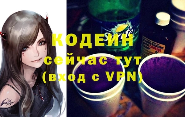 шишки Пестово