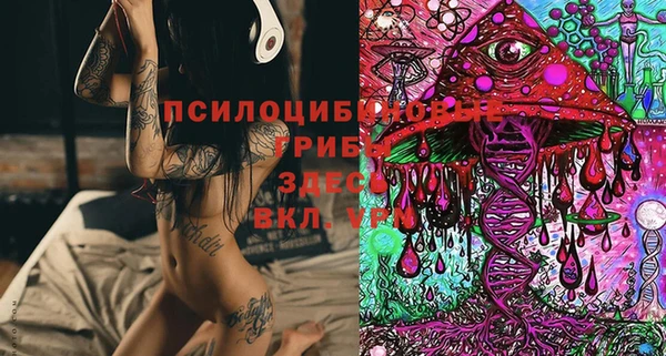 гидра Аркадак