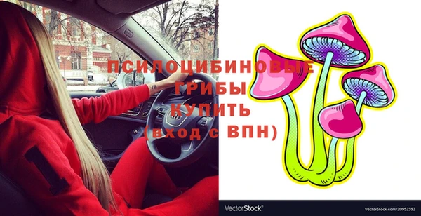 прущие крисы Алексин