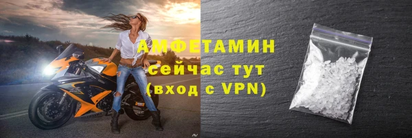 гидра Аркадак